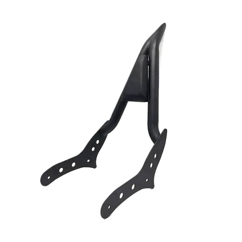 Rückenlehne Gepäckträger Für Rebel CMX300 CMX500 CMX1100 Motorrad Abnehmbare Hinten Sissy Bar Rückenlehne Mit Gepäck Rack CMX300/500/1100 von QOPUYNH