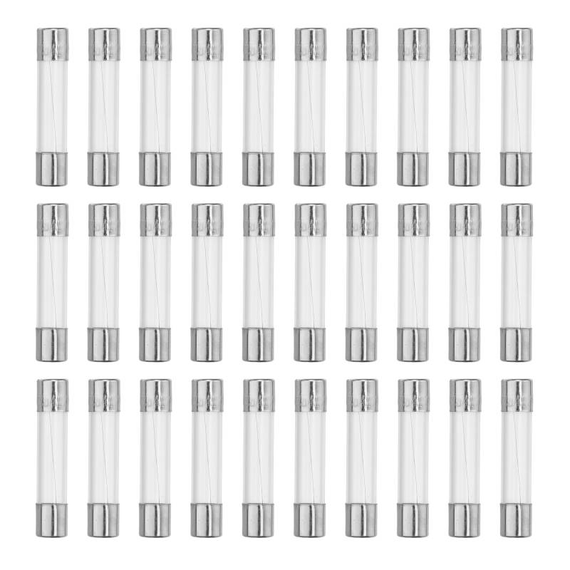 QUARKZMAN Feinsicherung 1,5A Glassicherung 6x30mm Sicherungen 30er Packung Schnellschlag Glassicherungen 250V von QUARKZMAN