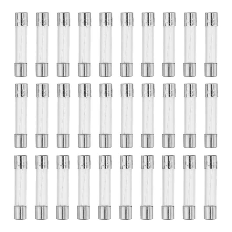 QUARKZMAN Feinsicherung 1A Glassicherung 6x30mm Sicherungen 30er Packung Schnellschlag Glassicherungen 250V von QUARKZMAN