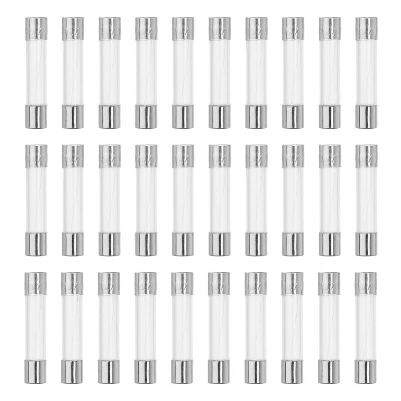 QUARKZMAN Feinsicherung 3,15A Glassicherung 6x30mm Sicherungen 30er Packung Schnellschlag Glassicherungen 250V von QUARKZMAN