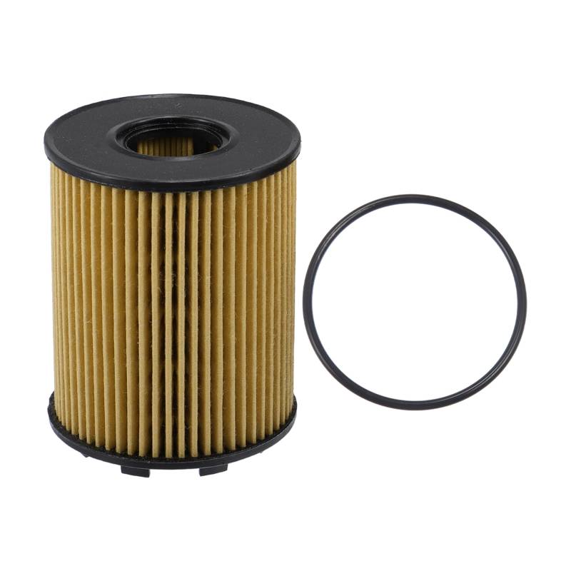 QUARKZMAN Motorölfilter Nr.68102241AA/73500049 für KIA II 1.3L 2008-2018 von QUARKZMAN