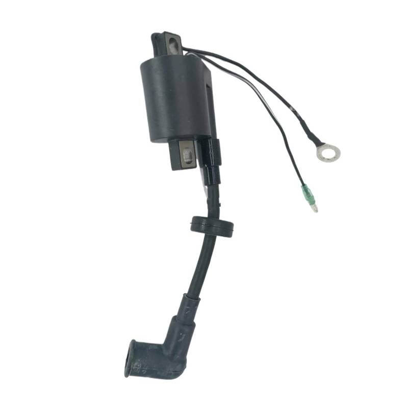 Motorrad-Zündschalter Für Für Außenbordmotor 3HP 5HP ZÜNDSPULE Assy 6E0-85570-00 2 Hub Zündspulen Modul von QUTBAG