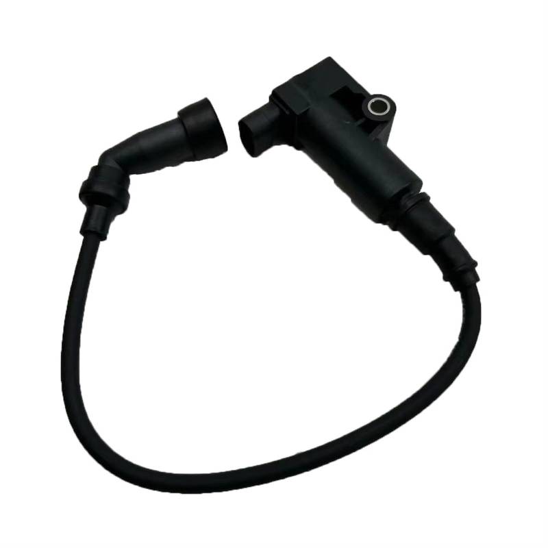 Motorrad-Zündschalter Für Penta Für Jinjila 300 Für Zündkerzenstecker Lightcycle Dahan GV300S Qianjiang Flash 300/3160 Zündspule Hochspannungspaket Zündspulen Modul von QUTBAG