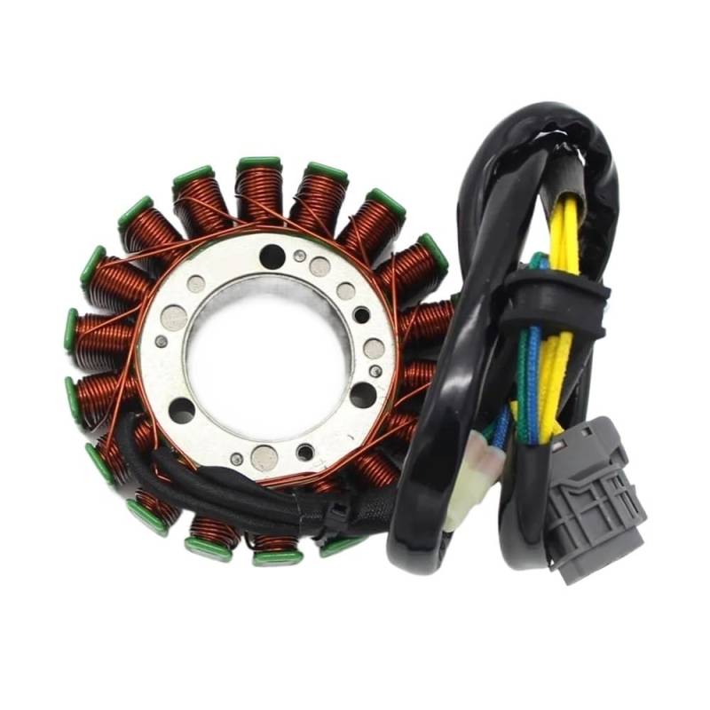 Motorrad Stator Spule Motorrad Magneto Stator Spule Für Bombardier Für ca&n-am DS250 DS 250 2008-2016 S31120RCA000 Zubehör von QUZVYT