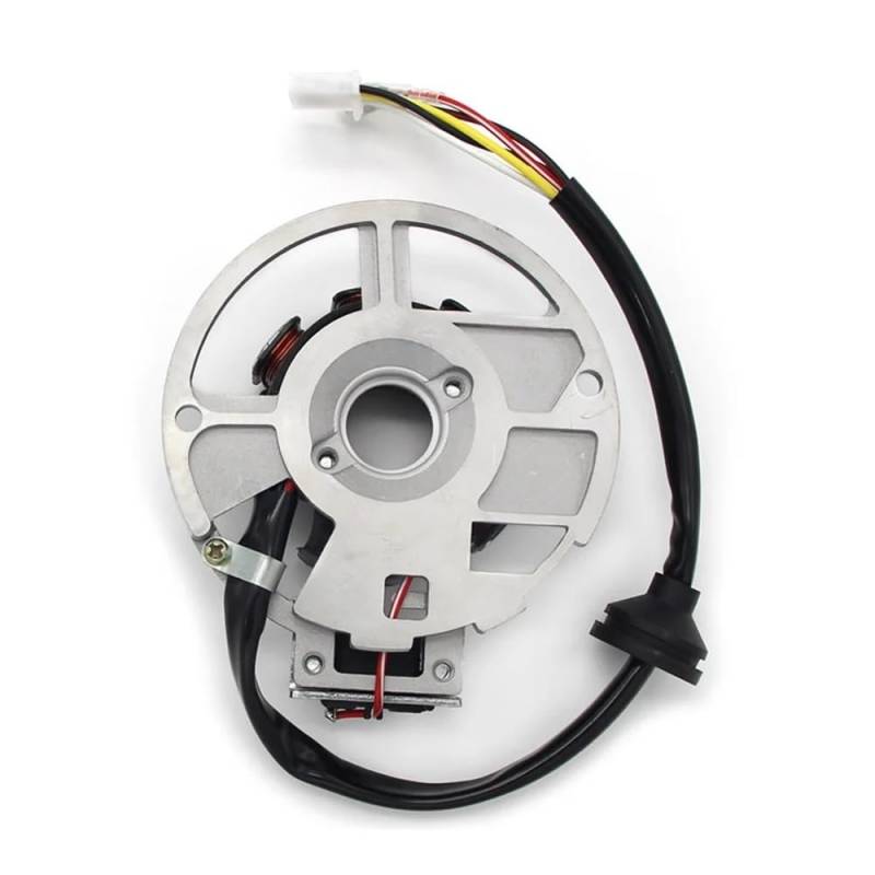 Motorrad Stator Spule Motorrad Zündung Generator Stator Spule Für Predator Für Scrambler Sportsman 50 90 X Für ca&n-am DS50 Für Scarabeo 50 2T von QUZVYT