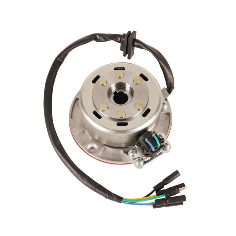 Zündspule Statorspule Spule 12V AC Zündung Magneto Stator Schwungrad Kit Für YX Ying Xiang 140cc 150cc 160cc Motorrad Pit Dirt Bike Spule von QmeNa