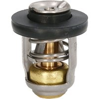 Thermostat QUICKSILVER 825212T02 von Quicksilver