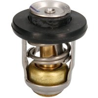 Thermostat QUICKSILVER 8M0119207 von Quicksilver