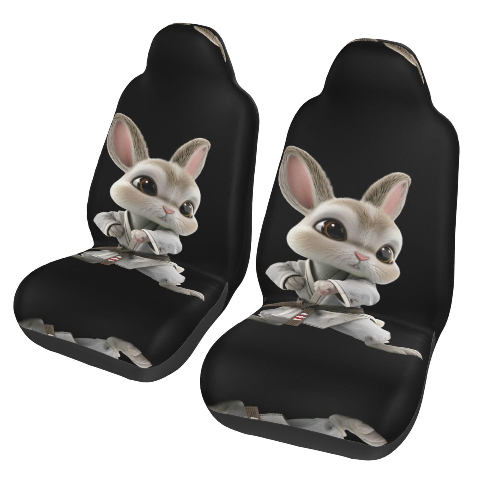 RAIZHE Kung Fu Rabbit 3D-Autositzbezüge, flexibel, für alte Autositze, Renovierung, für Autos, SUVs, LKWs, Autositzbezüge, 2 Stück von RAIZHE