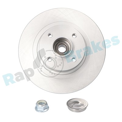 Rap Brakes Bremsscheibe [Hersteller-Nr. R-D0425C] für Renault von RAP BRAKES