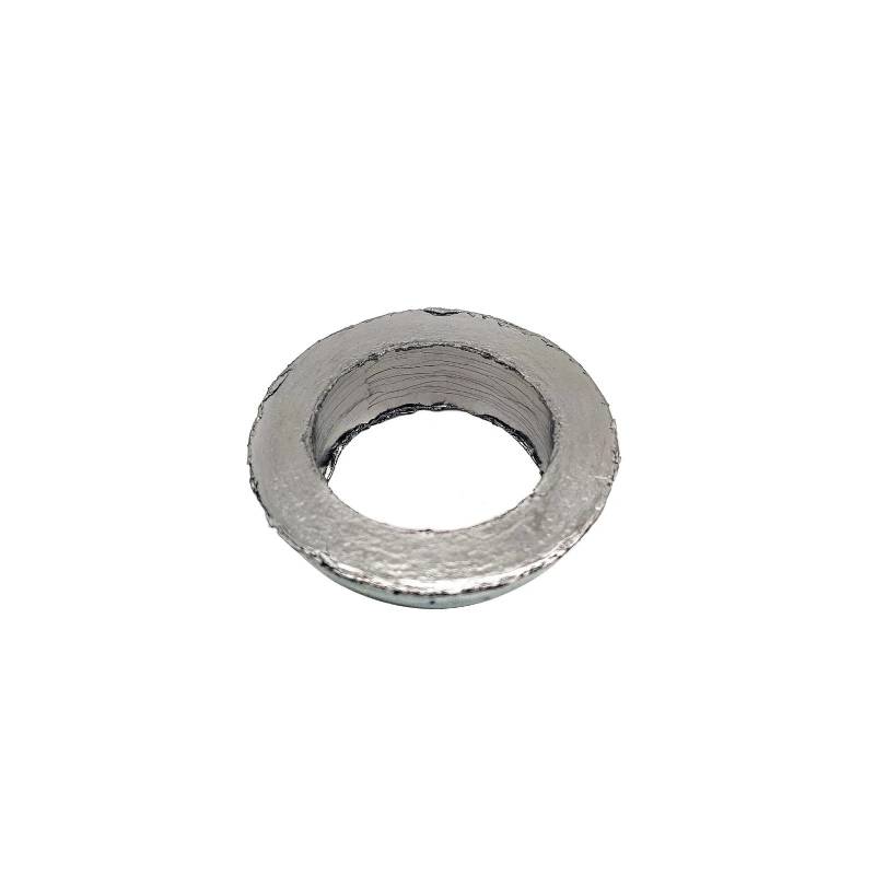 Motorrad Auspuff Dichtung for Schalldämpfer for Linhai 260 300 400 LH260 LH300 LH400 25222 von REHOSE