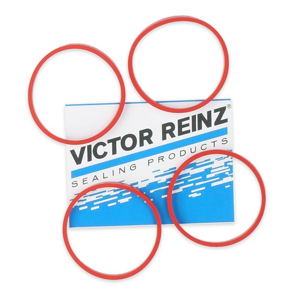 REINZ Dichtungssatz, Ansaugkrümmer PEUGEOT,CITROËN 11-35246-01 0348Q5 von REINZ