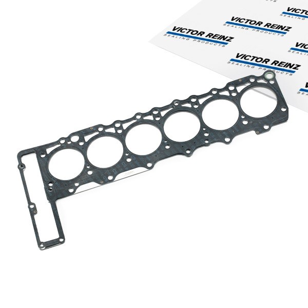 REINZ Zylinderkopfdichtung MERCEDES-BENZ,PUCH 61-31670-00 6060160120,6060160320 Kopfdichtung,Motor Dichtung,Dichtung, Zylinderkopf von REINZ