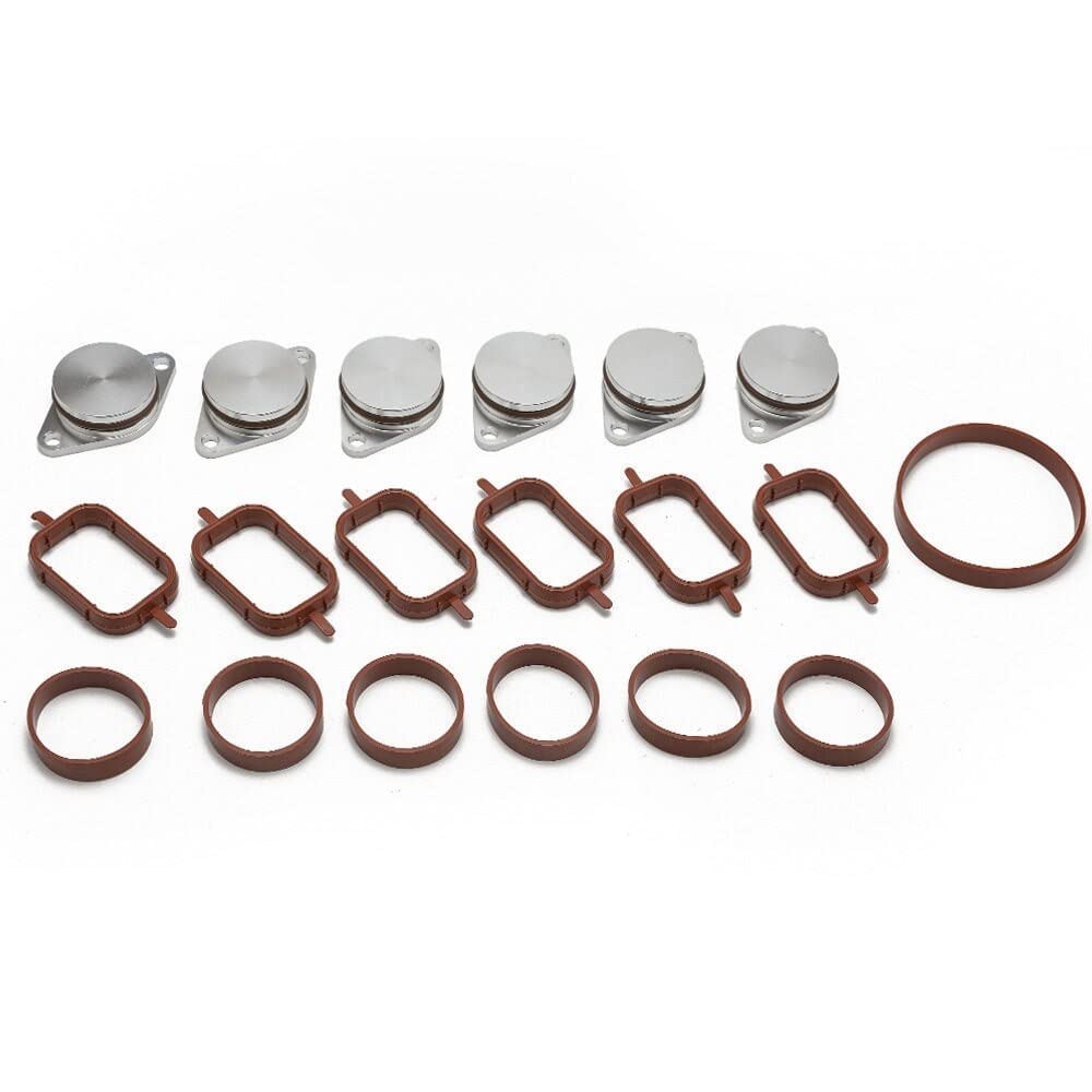 Diesel Swirl Blanks Flaps Repair Delete Kit 6 X 33MM Compatible With M57 530D 330D 335D TKYD81K von REUISAX