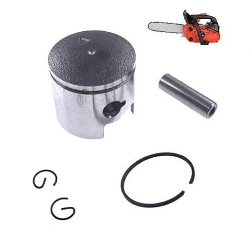 G2500 34 mm Kolbenbolzenring-Set, kompatibel mit Z K G250 G2500T für 25 cc 25,4 cc 2500 2600 Kettensägengriff, Gartenschere, Ersatzteile(SINGLE RING) von REUISAX