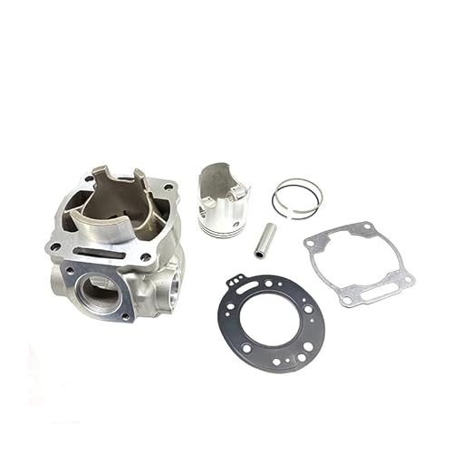 Zylindersatz Compatible with Motorradmotoren, Standard-Passform, kompatibel mit 66,8 mm Kolbenringteilen, DT230, MT250, TSE250, HJ250H 2T, Dichtung von REUISAX