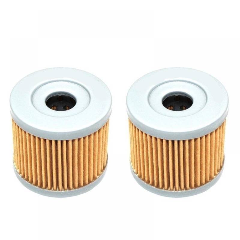 Kompatibler Ölfilter Kompatibel mit GZ125 LT125 LTZ90 SP100 1999–2010 1983–2009(2PCS) von REwNXA