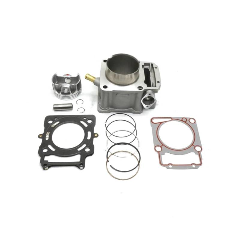 Motorrad Motor Teile Zylinder Block Kolben Ring Dichtung for ZS174FMM CBS300cc BSE von RFSHKOP