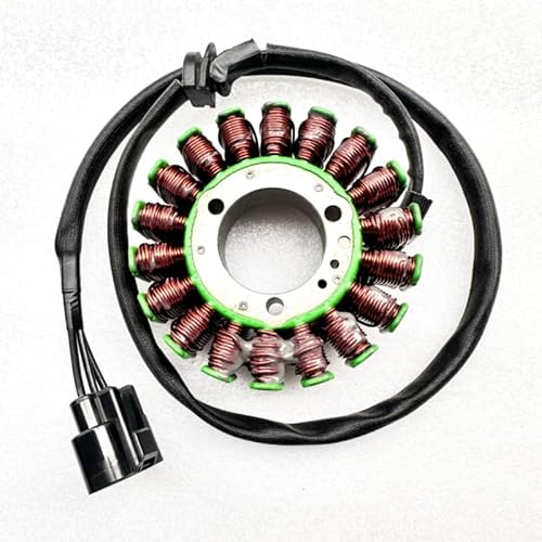 Stator kompatibel mit UTV 800 1000 X2 X4 Raider 21040109704 von RHUCDI