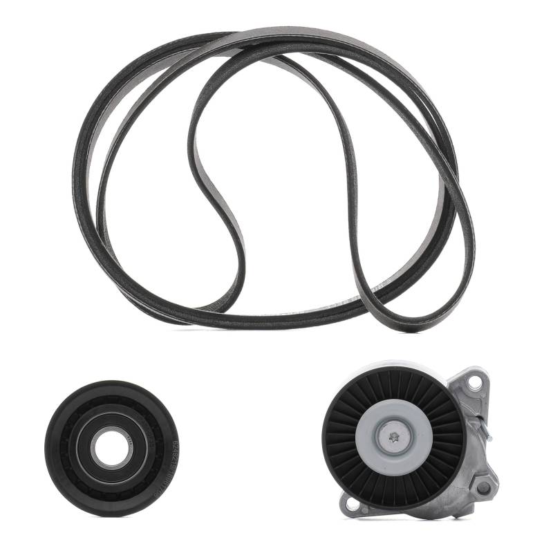 RIDEX PLUS Keilrippenriemensatz MERCEDES-BENZ,CHRYSLER,PUCH 542R0498P 0002020019,0129973692,1122000970 05080246AA,K05080246AA,0119979792,0129977092 von RIDEX PLUS