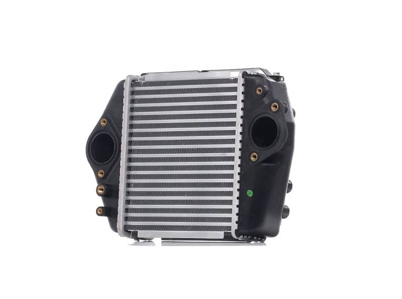 RIDEX 468I0161 Ladeluftkühler LLK Turbo Intercooler von RIDEX