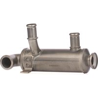 RIDEX AGR Kühler ohne AGR-Ventil 4032C0008 Abgaskühler,Abgasrückführungskühler FORD,FIAT,PEUGEOT,Focus II Schrägheck (DA_, HCP, DP) von RIDEX