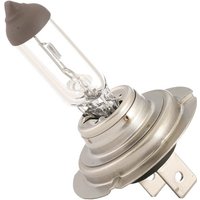 RIDEX Glühlampe, Fernscheinwerfer H7 106B0065  VW,AUDI,MERCEDES-BENZ,Golf IV Schrägheck (1J1),Golf V Schrägheck (1K1),POLO (9N_) von RIDEX