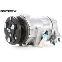 RIDEX Kompressor PAG 46 447K0043 Klimakompressor,Klimaanlage Kompressor OPEL,VAUXHALL,ZAFIRA B (A05),Corsa C Schrägheck (X01),Meriva A (X03) von RIDEX