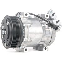 RIDEX Kompressor PAG 46 447K0102 Klimakompressor,Klimaanlage Kompressor FORD,MAZDA,VOLVO,Focus II Schrägheck (DA_, HCP, DP) von RIDEX