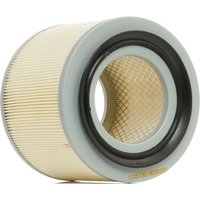 RIDEX Luftfilter Filtereinsatz 8A0307 Motorluftfilter,Filter für Luft NISSAN,Patrol GR V SUV (Y61),PATROL Hardtop (K260),PATROL Hardtop (K160) von RIDEX