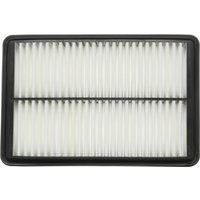 RIDEX Luftfilter Umluftfilter 8A0539 Motorluftfilter,Filter für Luft HYUNDAI,SONATA V (NF),GRANDEUR (TG) von RIDEX