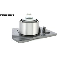 RIDEX Spannrolle, Zahnriemen mit Halter 308T0092  RENAULT,NISSAN,SUZUKI,SCÉNIC II (JM0/1_),MEGANE II Coupé-Cabriolet (EM0/1_),LAGUNA II (BG0/1_) von RIDEX