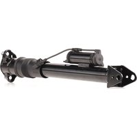 RIDEX Stoßdämpfer Hinterachse 854S1829 Federbein,Stossdämpfer MERCEDES-BENZ,M-Klasse (W164),GL (X164),GLS (X166) von RIDEX