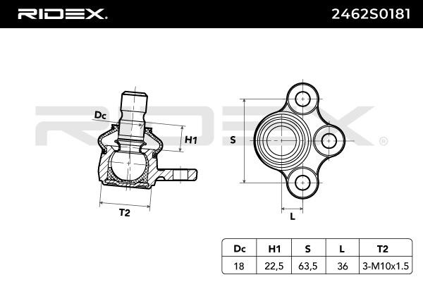 RIDEX Traggelenk PEUGEOT,CITROËN,DS 2462S0181 364066,1607298480,364056 364059,364061,364062,364065,1607298580 von RIDEX