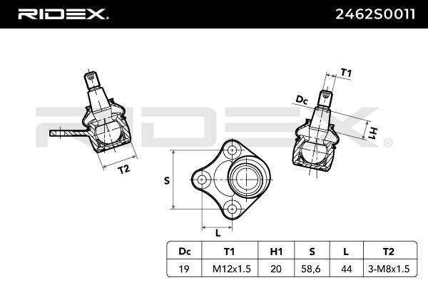 RIDEX Traggelenk VW,AUDI,SKODA 2462S0011 8A0407365,1J0422366C,1JD407366 1J0407366A,1J0407366D,1J0407366H,1J0407366J,4B1941531CB9B,1J0407366,1J0407366B von RIDEX