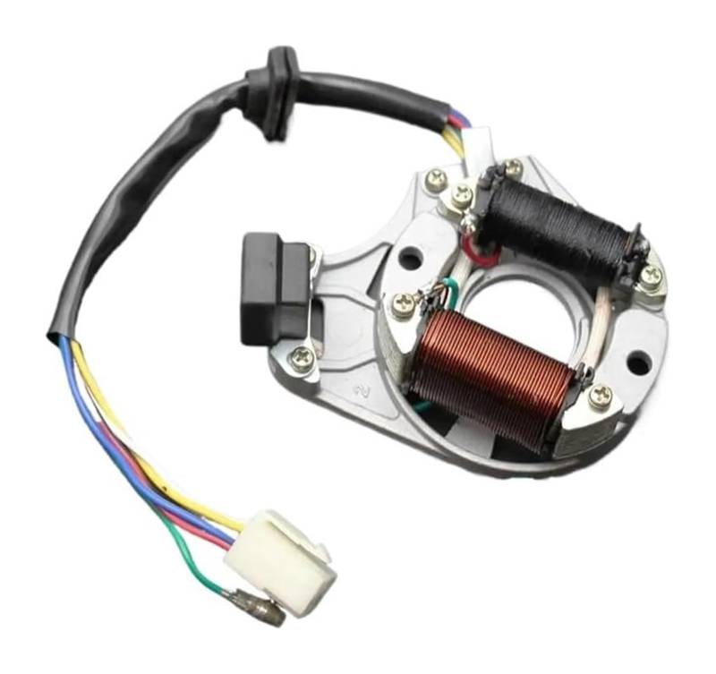 Zündstator Magnetspule Für 50 Cc 70 Cc 90 Cc 110 Cc 125 Cc 110 Cc 2 Spule – Quad Dirt Bike Motorrad ATV Qaud Stator Zündung Magnetplatte von RINKTEEA