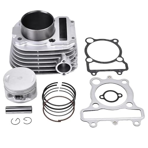 Motorcycle Piston Overhaul Pads Cylinder Kits for TT-R230 TTR230M B68K 2021 TTR230NC B68S 2022 TTR230P B68T B68U 2023 von RIUGHJID