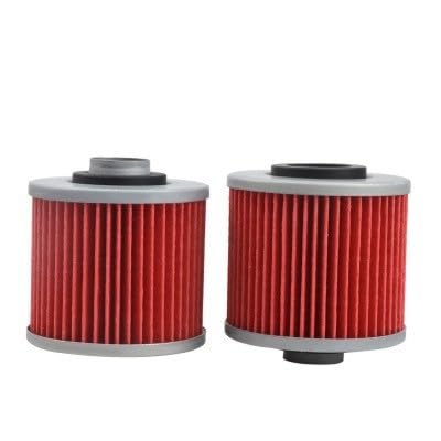 Motorölfilter-Reiniger for XV535 V/IRA-GO 535 XVS650 V-STAR 650 DRAGSTAR XV700 XV750 XVS1100 XV125S 650cc 535cc 700cc(2pcs) von RIUGHJID