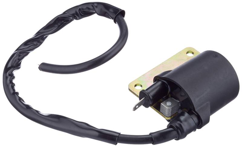 Zündspule 4250625947877 (Ignition RMS Coil) RMS für Piaggio/Gilera 125 150 180 2T von RMS