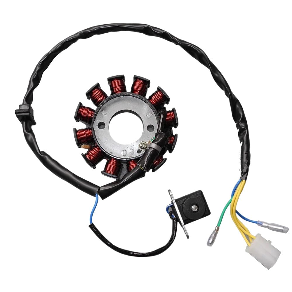 GY6 125CC 150CC Magneto Stator 12 Spule kompatibel mit ATV Scooter Go Kart Motoren 152QMI 157QMJ von RMXGZQ