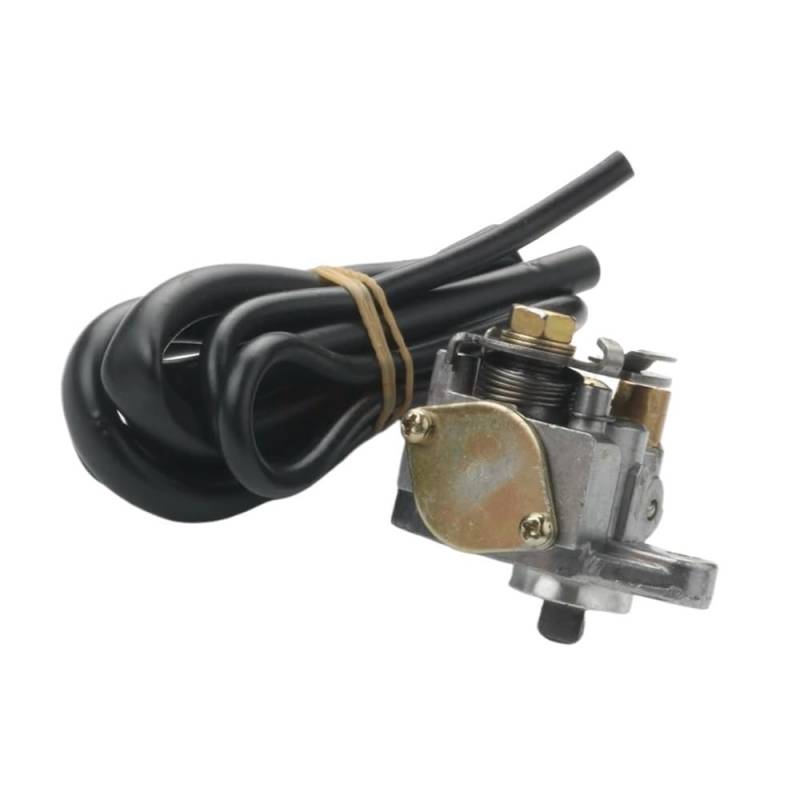 Kompatible Ölpumpe für 50 Gp1 01–03 O2 und 02–06 Gp1 50 cc 403670020 Scooter-Mix-Ölpumpe von RMXGZQ