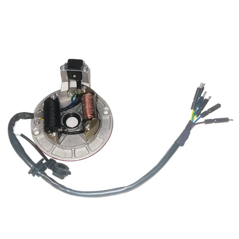 Spulen Zündung Schwungrad Magneto Stator Rotor Kit Kompatibel mit 110cc 125cc 140cc Motor kompatibel mit Motorrad Dirt Pit Bike von RMXGZQ