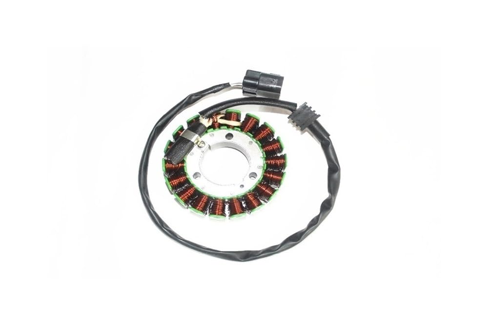 Zündmagnet-Stator, kompatibel mit BN600 TNT600 600 RK6 BN600GT TNT600GT STELS600GT 600 GT Ersatzteil von RMXGZQ