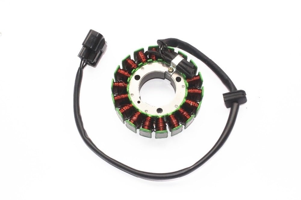 Zündmagnet-Stator-Ersatz, kompatibel mit 302S BN302R BN302 TNT300 300 300 BN TNT 300 302 von RMXGZQ