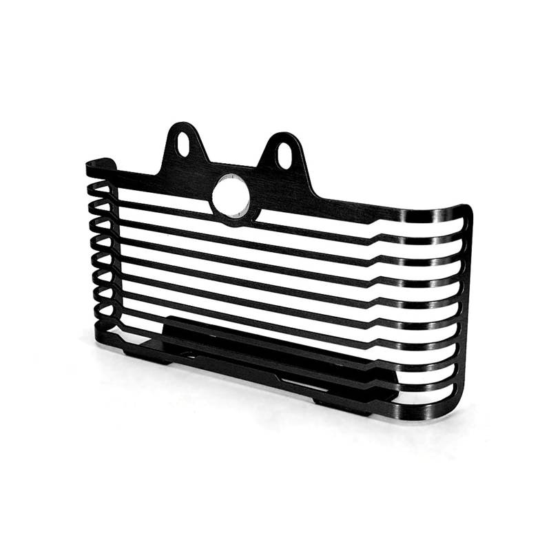 Kraftstoff Tank Schutz Schutzgitter Für B&M&W R9T R NEUN T 2021 2022 Motorrad Kühlergrill Wache Wasser Tank Schutzhülle RnineT RNINET Urban Pure Scrambler von RNKJFJGW