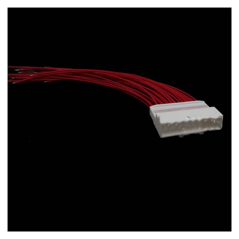 ROBAUN 1 Set 40 Pin 1318389-1 1674312-1 6098-5585 Auto Zubehör Auto Instrument Navigation Draht Kabel buchse(Male 20cm Wires) von ROBAUN