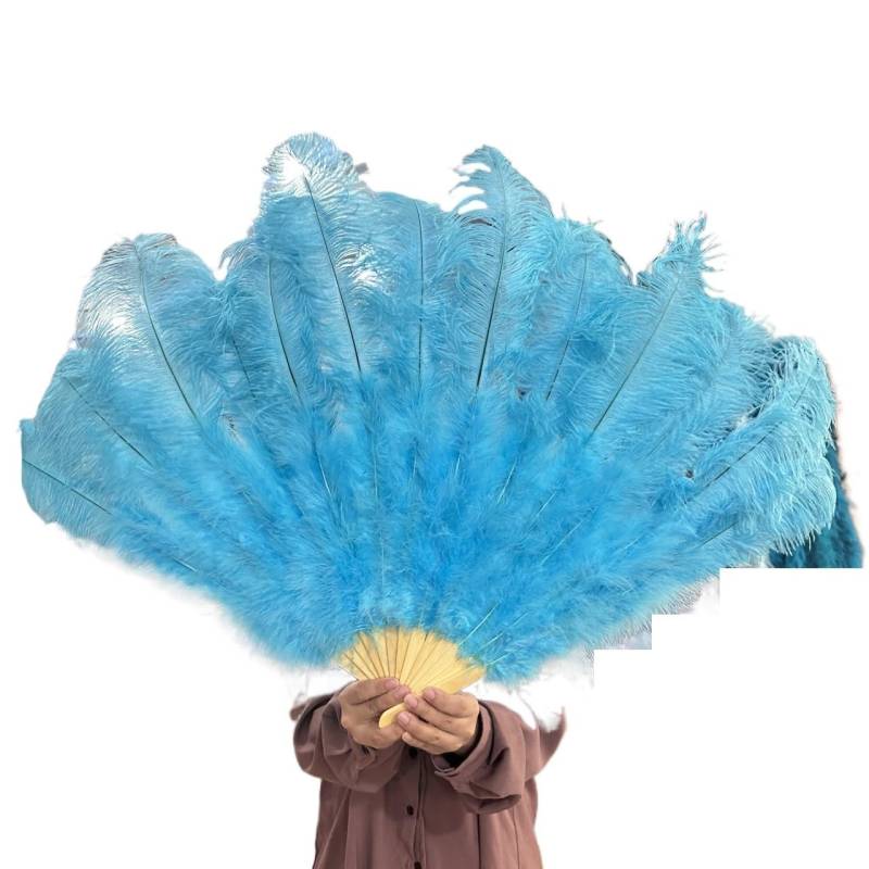 Faltfächer, Handfächer, Gelbe große Straußenfeder-Fächer, flauschiger Performance-Tanz-Handfächer, faltbar, verschiedene Stile, Party-Requisiten, Bühnenshow-Requisiten(Sky Blue,100CM) von ROJDFCNBW