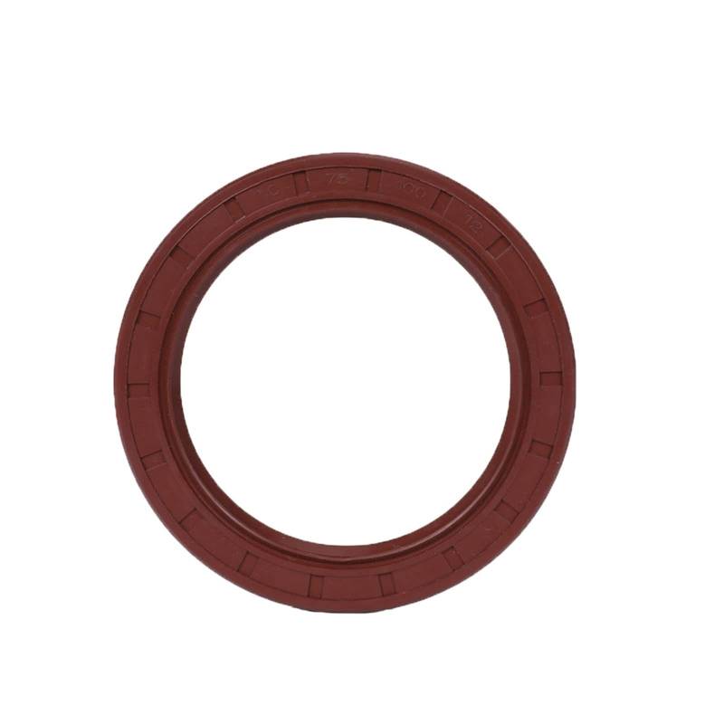 Radialwellendichtung,Pop Up Basin Waste Seal, ID 25mm Öldichtungsskelett, braunes Fluoro-FKM-Fluorkautschuk, Hydraulikfeder, U-Lippe, TC-Ring, Dichtungslippe(25x40x10 1PC) von ROJDFCNBW