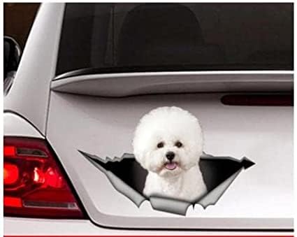 2 Stück Autoaufkleber 22 Cm (8,6 Zoll) Bichon Frise Autoaufkleber, Bichon Frise Aufkleber, Haustieraufkleber, Hundeaufkleber, Autoaufkleber, Lustiger Aufkleber, Laptopaufkleber, Aufkleber (3461) von ROMOER