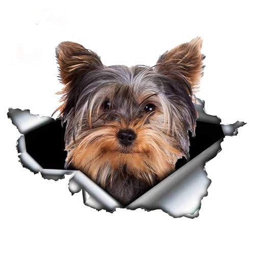 ROMOER 13 cm X 12,6 cm Yorkshire Terrier Vinyl Persönlichkeit Aufkleber Zerrissenes Metall Aufkleber Tier Auto Aufkleber Fenster Stoßstange Haustier Hund Auto Styling(2Stück) von ROMOER